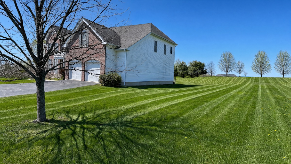 After landscaping