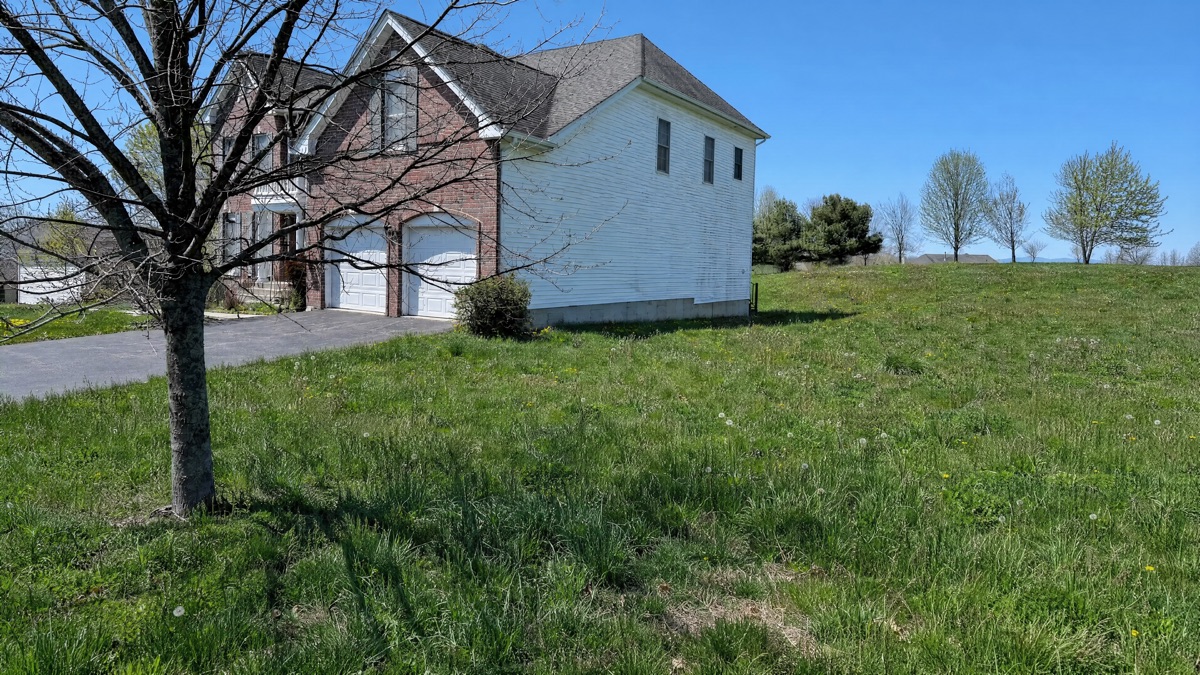 Before landscaping