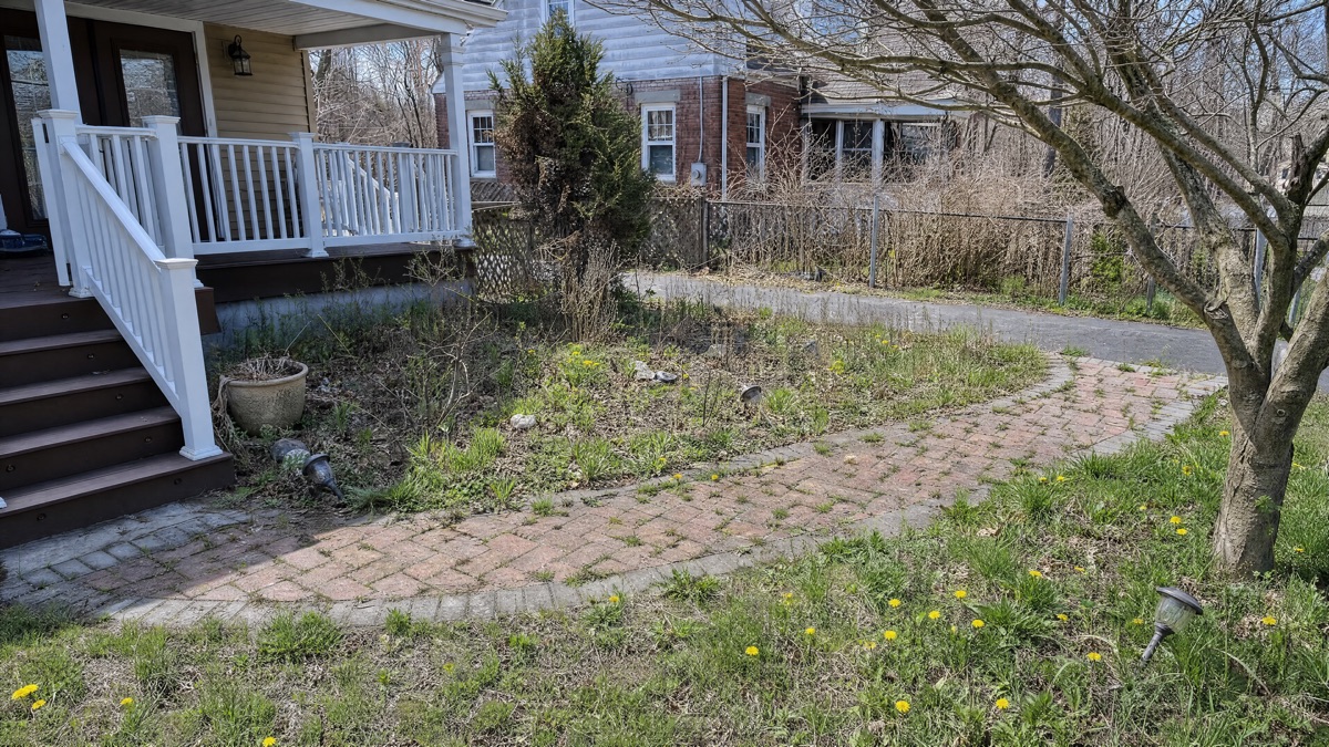 Before garden project