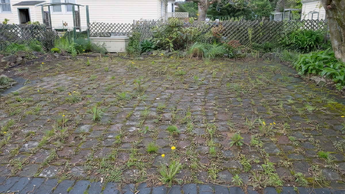 Before patio cleaning